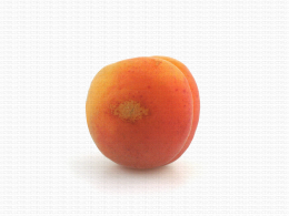 Abricot, tache liégeuse ou boisage sur épiderme dû à des frottements sur l'arbre